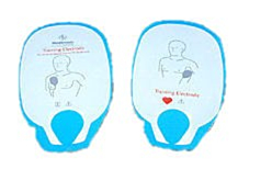 Physio-Control Lifepak 500/1000 Training Pads 11101-000003 - 9066