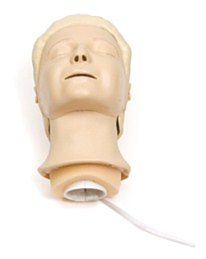 Laerdal Resusci Anne Head - 8320