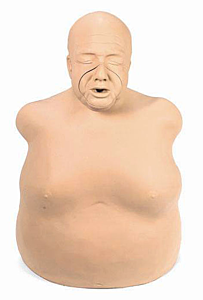 Fat Old Fred